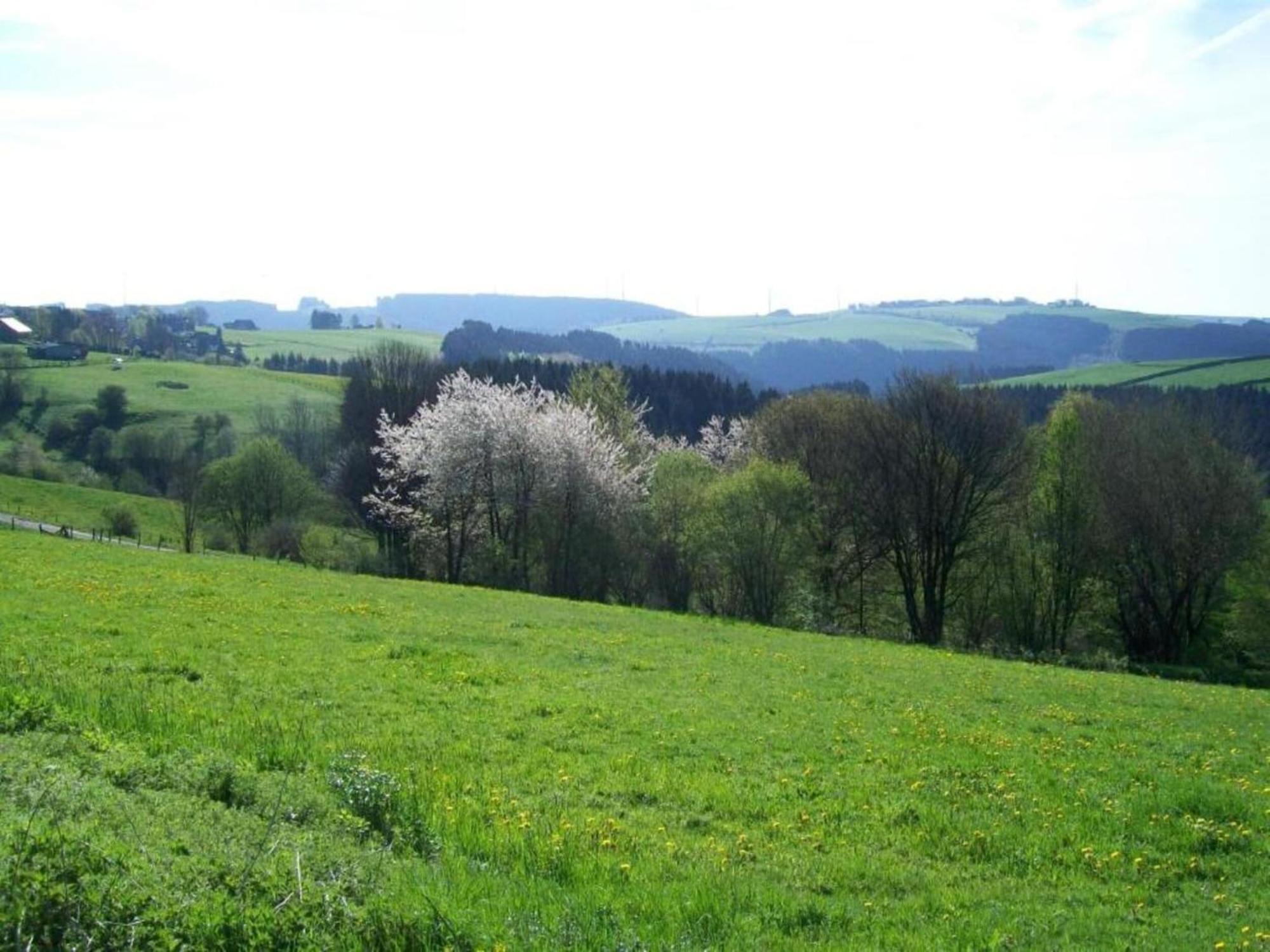 Holiday Home With Garden In Hellenthal Eifel Exterior foto